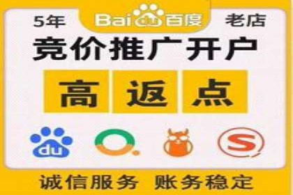 成功运用百度竞价代理，实现品牌快速崛起